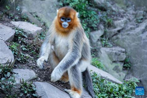 玉合公園怎麼樣？悠遊自然與人文的交融之境